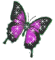 Анимированные картинки с бабочками