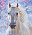 Анимированные картинки кони и лошади