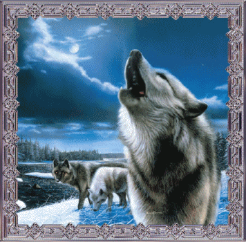 Конкурс " Волк" - Страница 2 904654802
