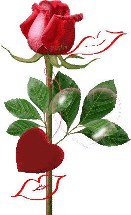 Красная роза и женские губы в помаде