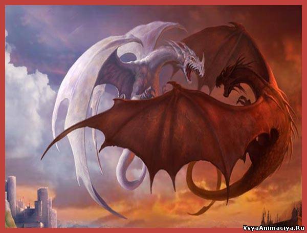 Битва драконов Картинки с кодами для дневников и блогов