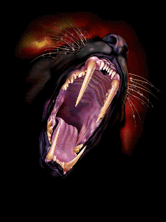 Анимация Пантера, картинки Пантера бесплатно