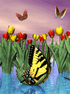 Бабочки мотыльки Анимашки, анимационные картинки с кодами для дневников и блогов