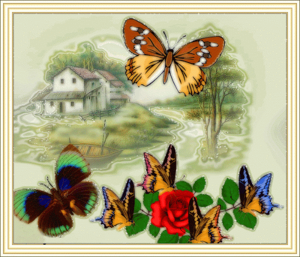 Бабочки мотыльки Анимашки, анимационные картинки с кодами для дневников и блогов