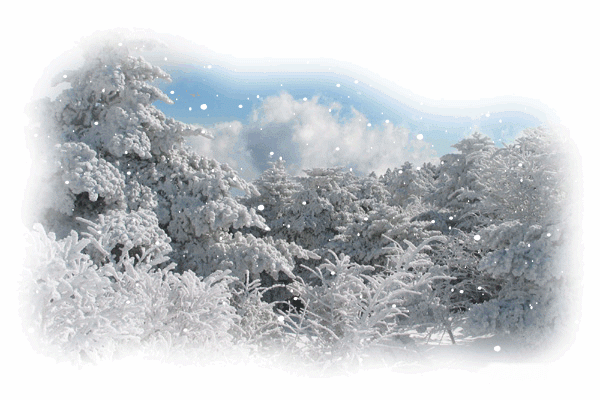Снег Анимашки, анимационные картинки с кодами для дневников и блогов