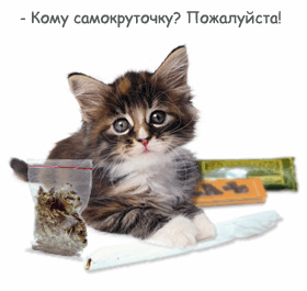 http://vsyaanimaciya.ru/_ph/62/2/151201561.gif